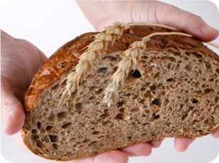 pan integral